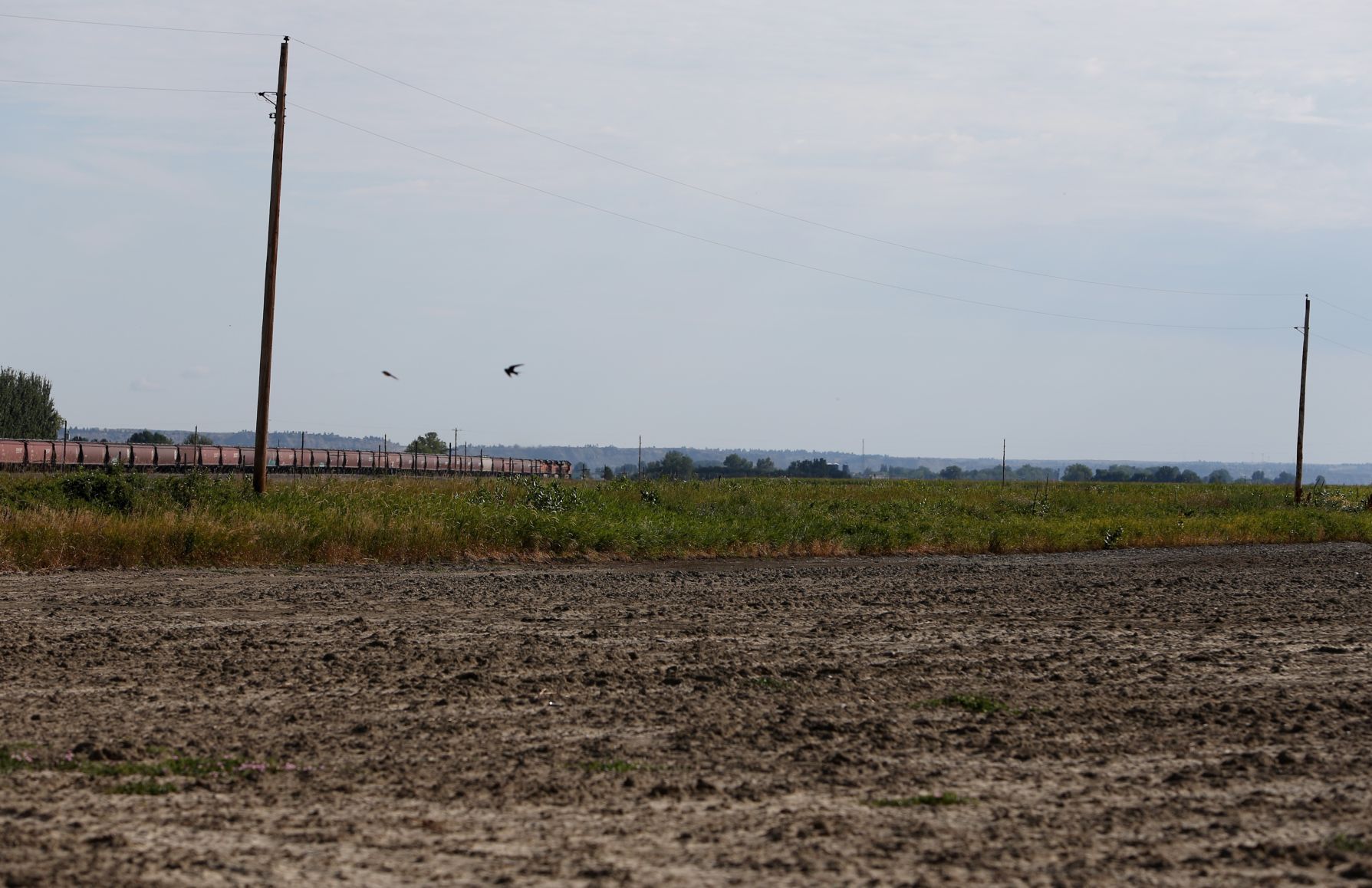 Southern Agriculture Research Center in Huntley